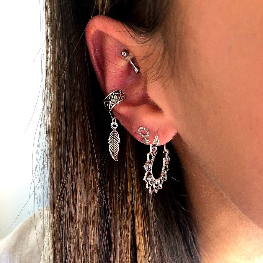 Pendientes Wayne