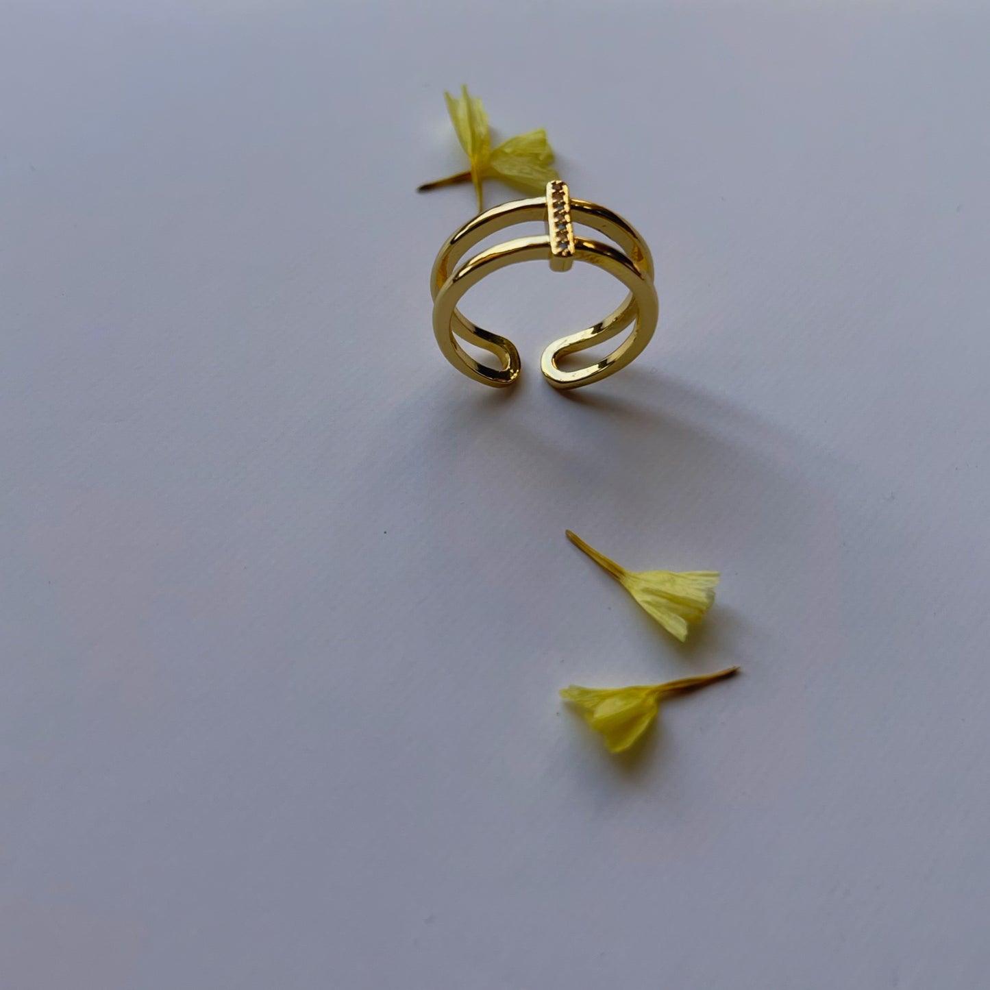 Anillo doble line