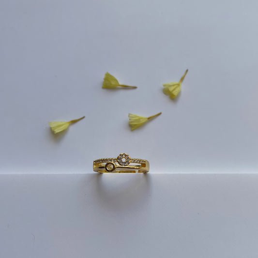 Anillo double circles