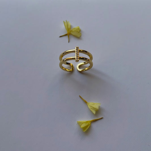 Anillo doble line