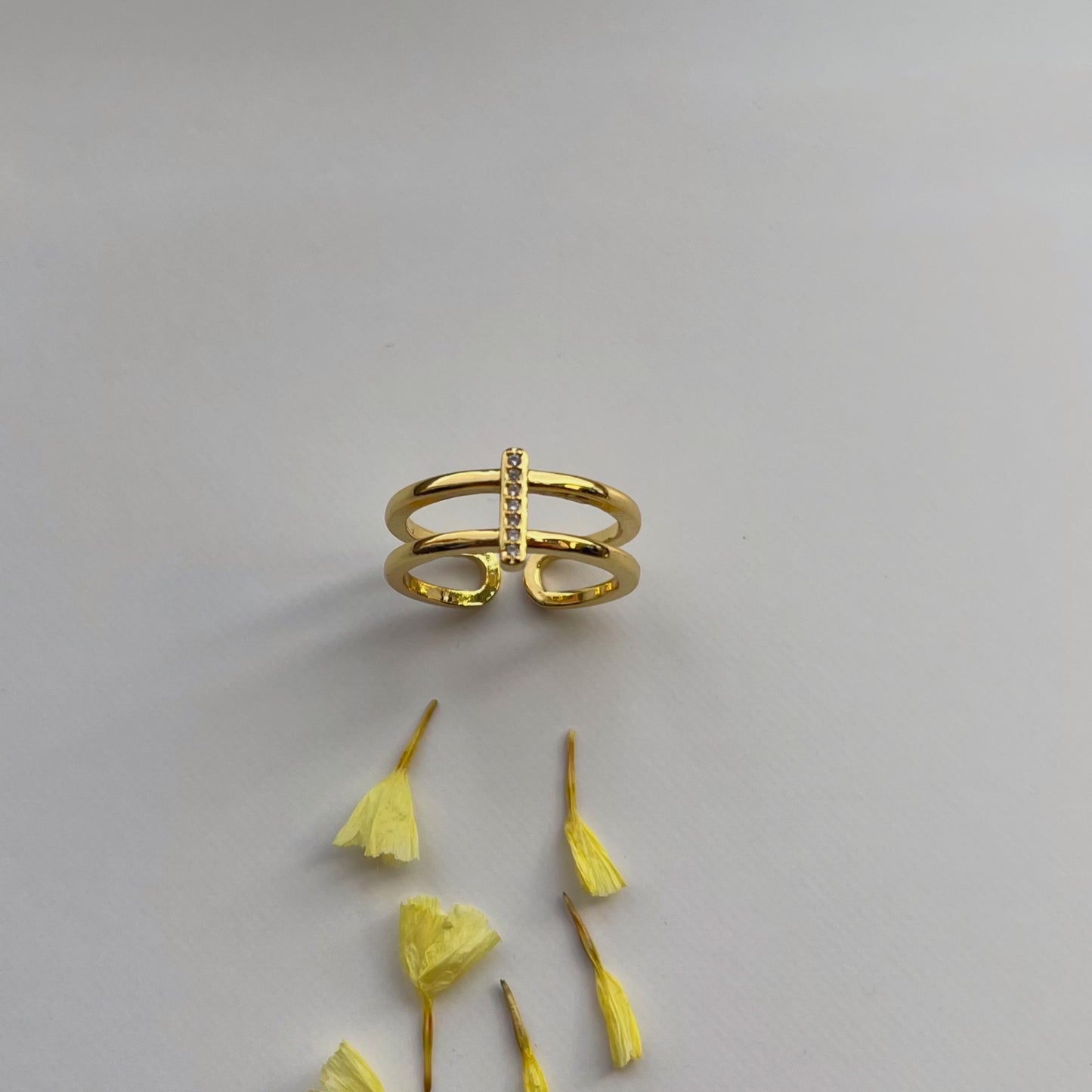 Anillo doble line
