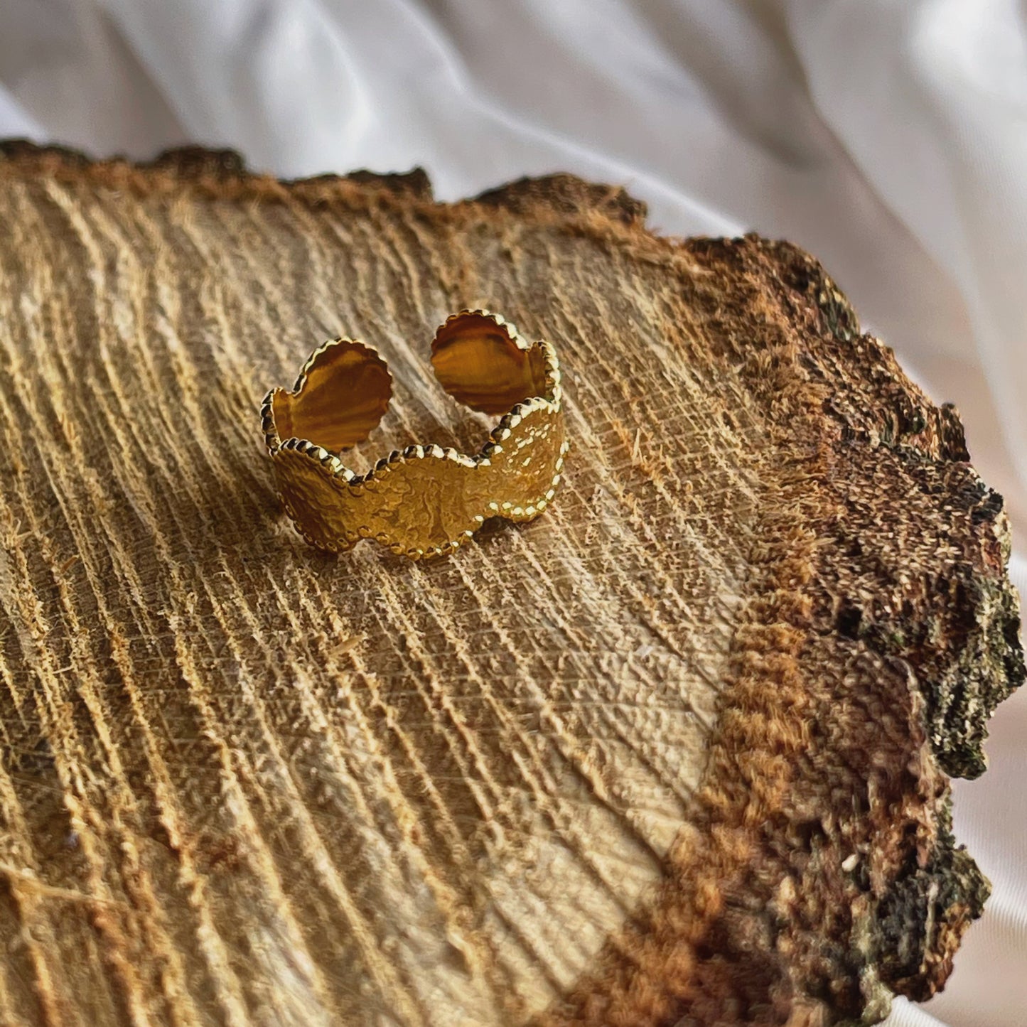 Anillo silueta monedas