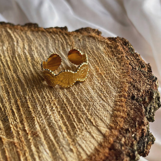 Anillo silueta monedas
